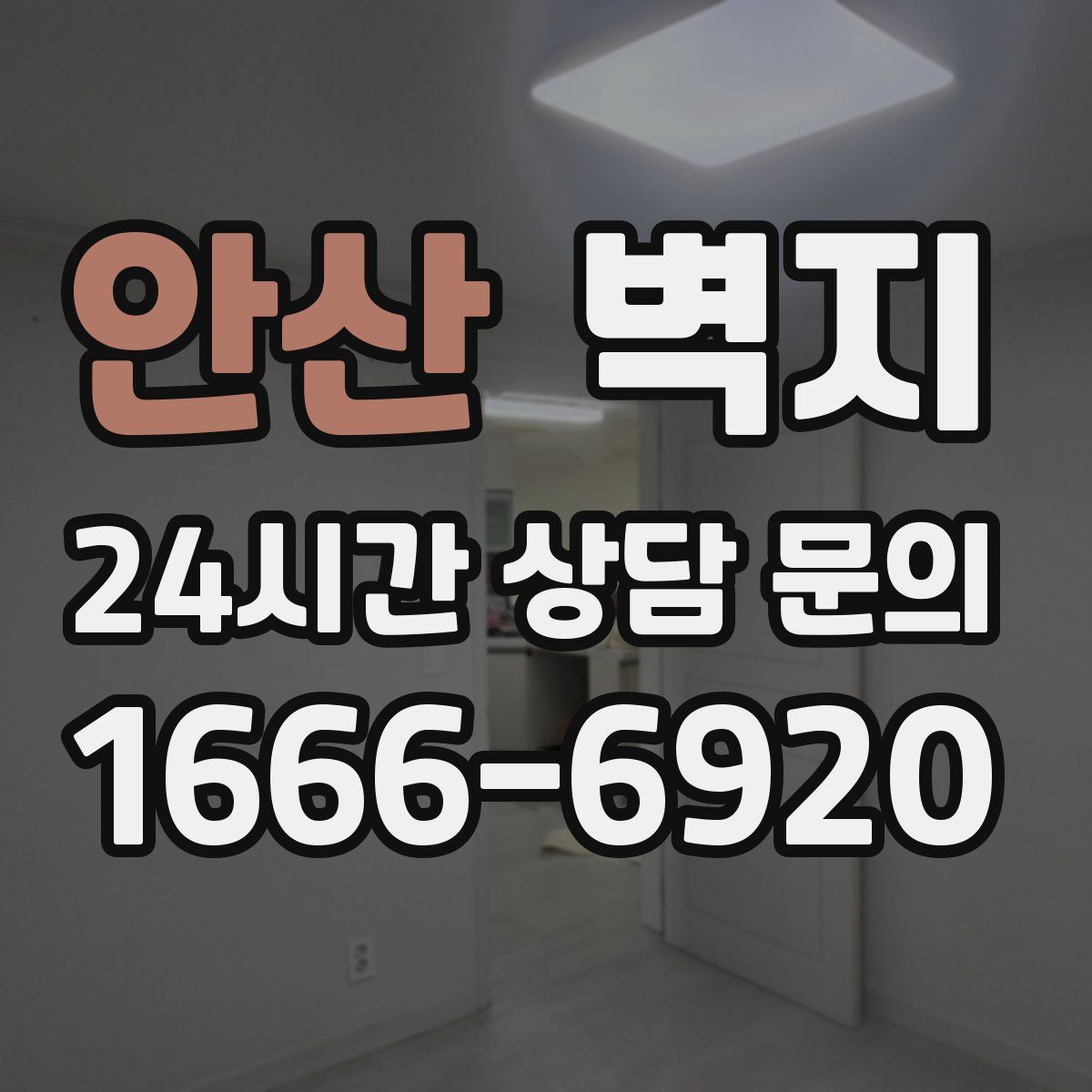 안산 벽지
