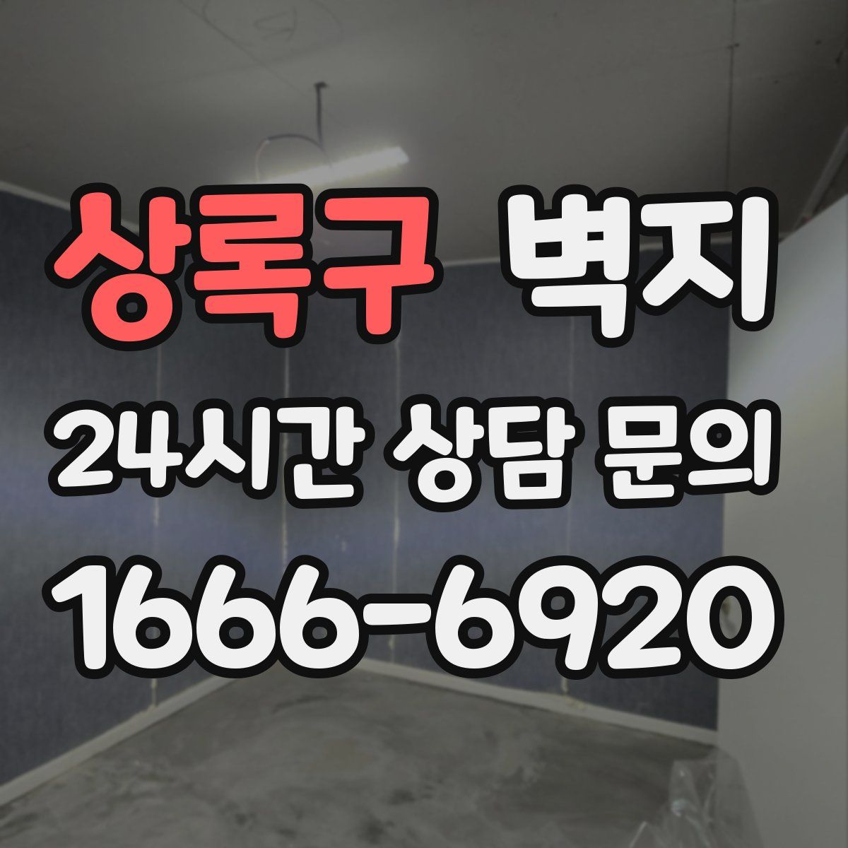 상록구 벽지