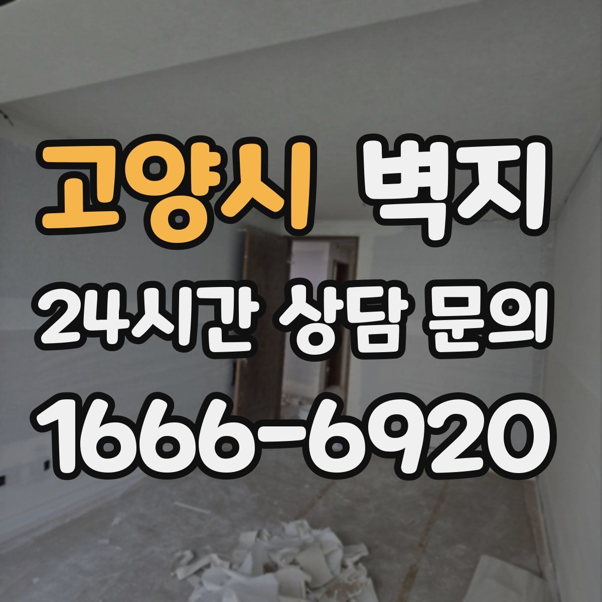 고양시 벽지