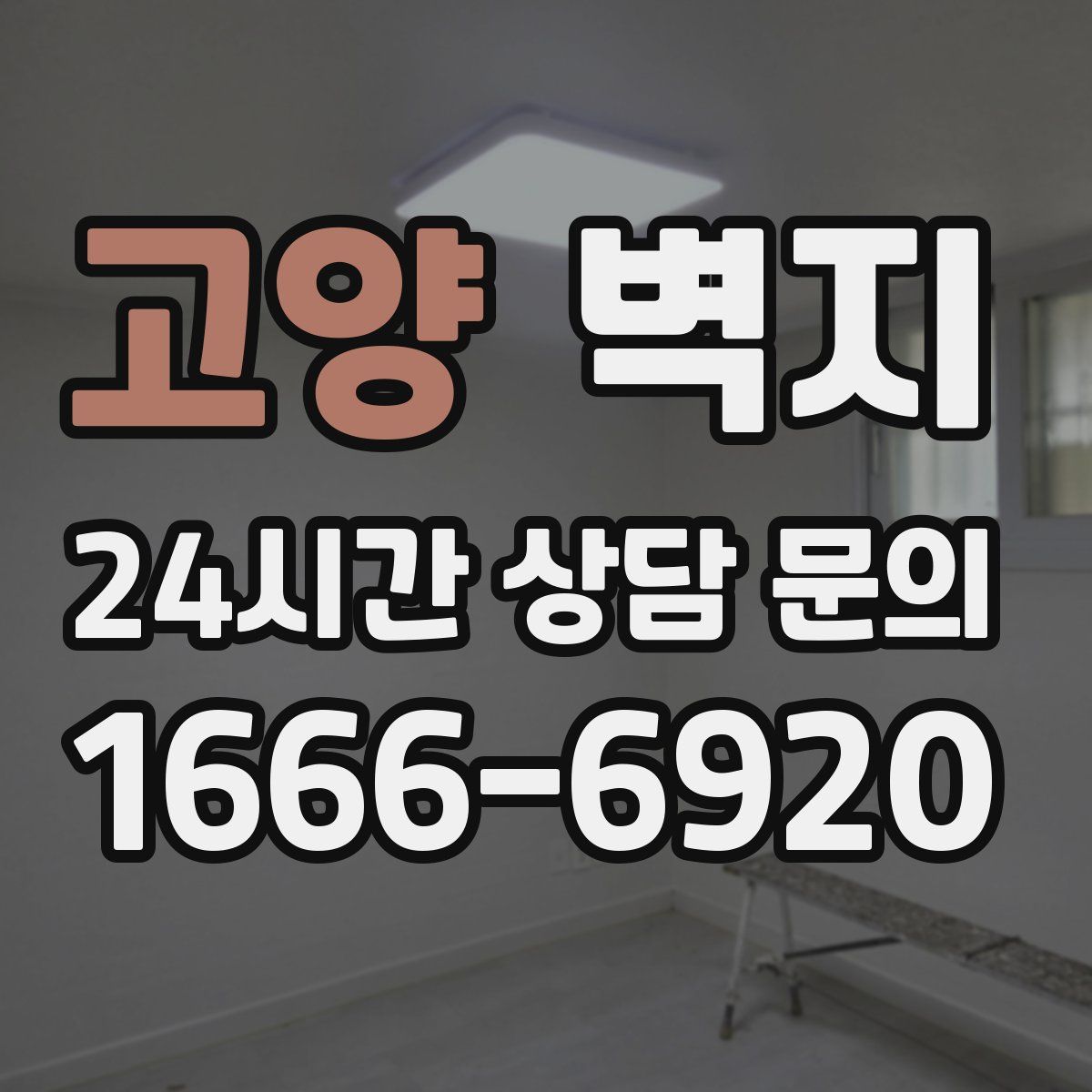 고양 벽지