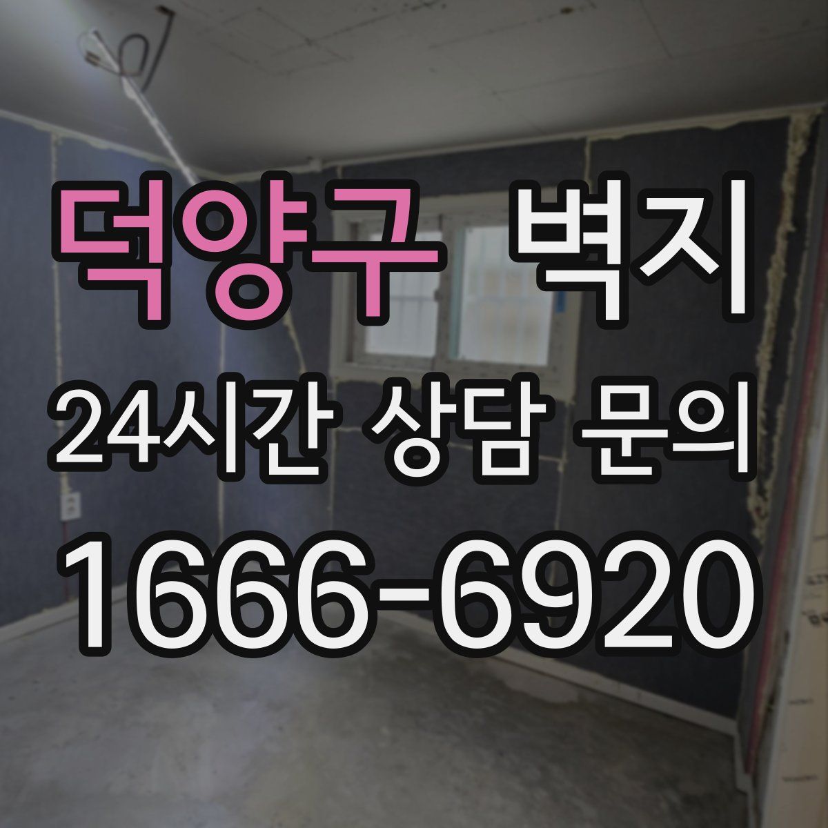 덕양구 벽지