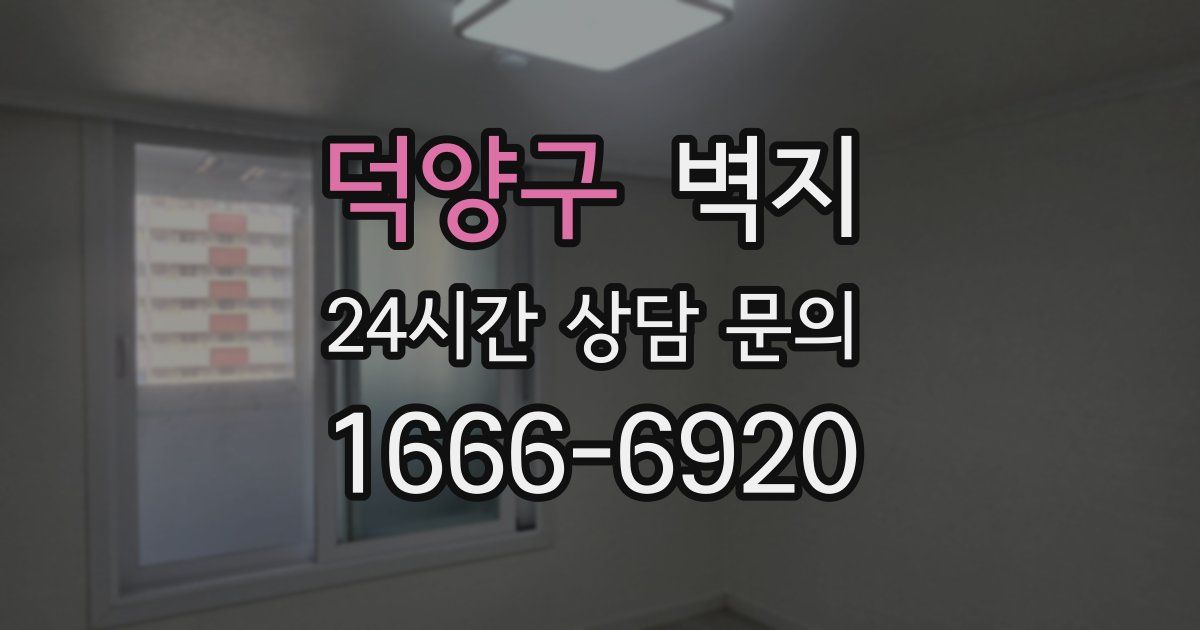 덕양구 벽지