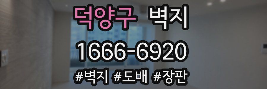 덕양구 벽지