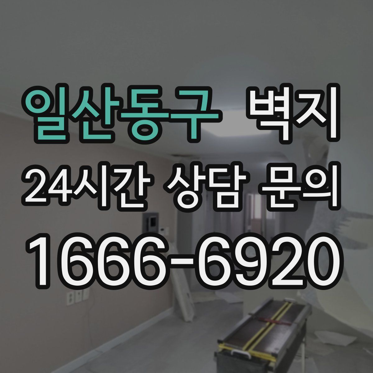 일산동구 벽지