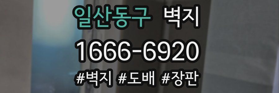 일산동구 벽지