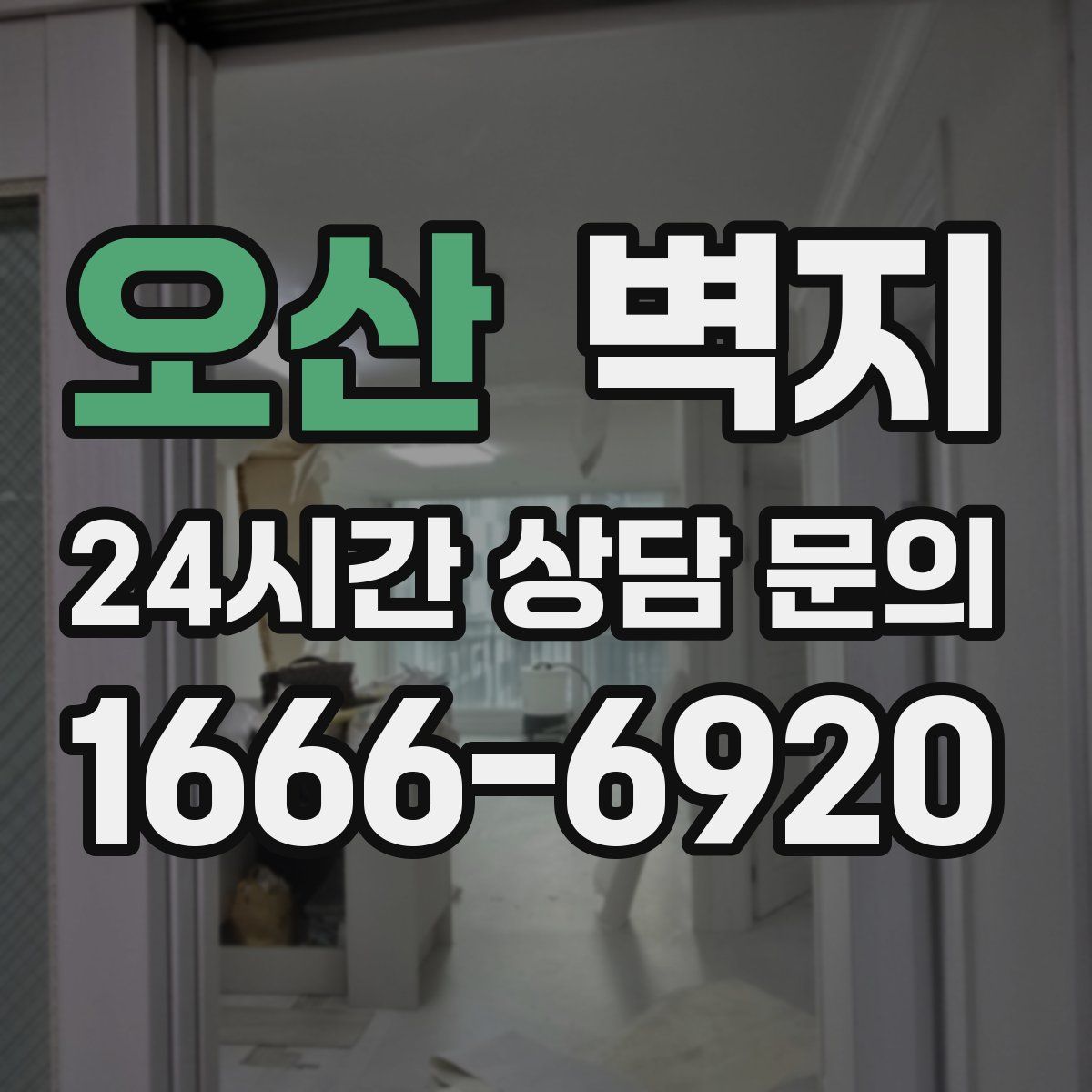 오산 벽지