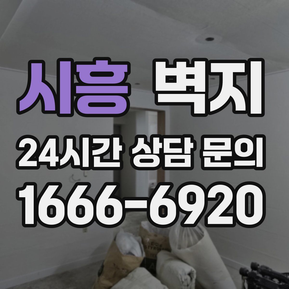 시흥 벽지