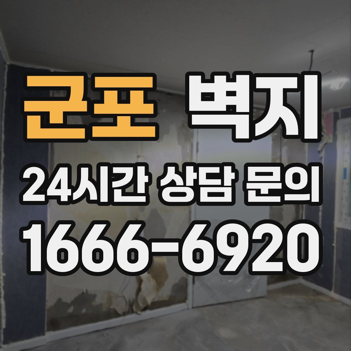 군포 벽지