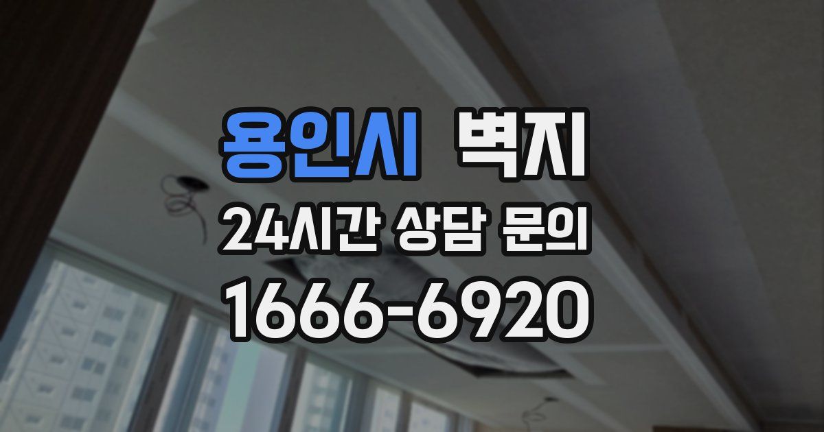 용인시 벽지