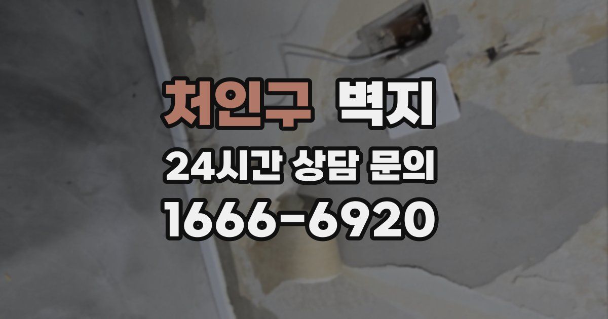 처인구 벽지