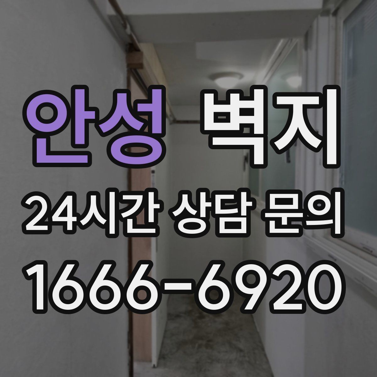 안성 벽지 선택 시 실내 조도를 함께 봐야 하는 이유