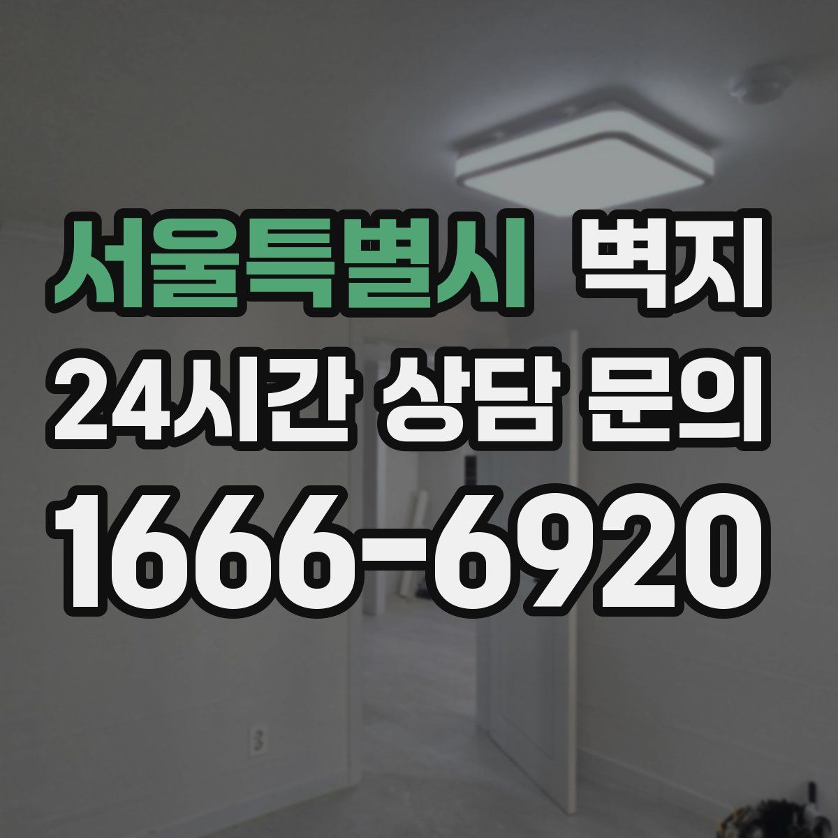 서울특별시 벽지
