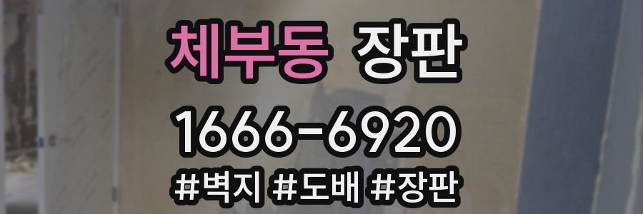 체부동 장판