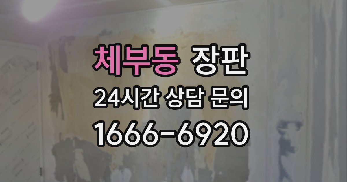 체부동 장판