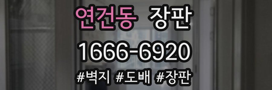 연건동 장판