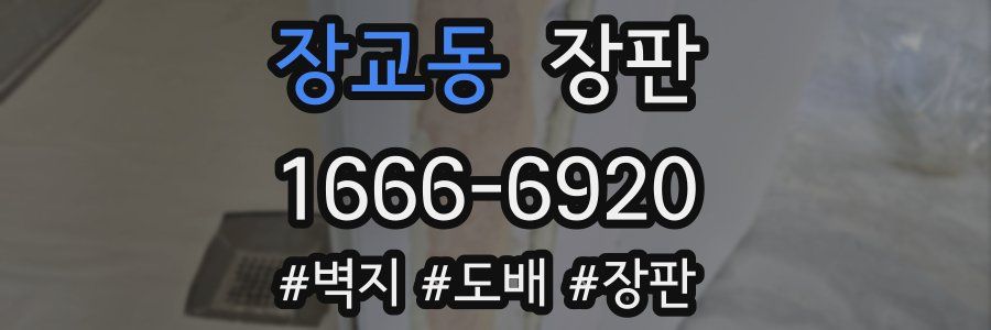 장교동 장판