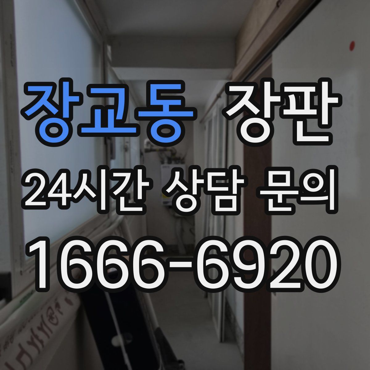 장교동 장판