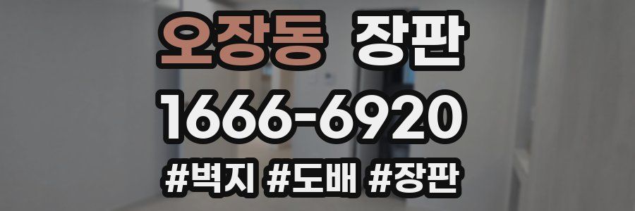 오장동 장판