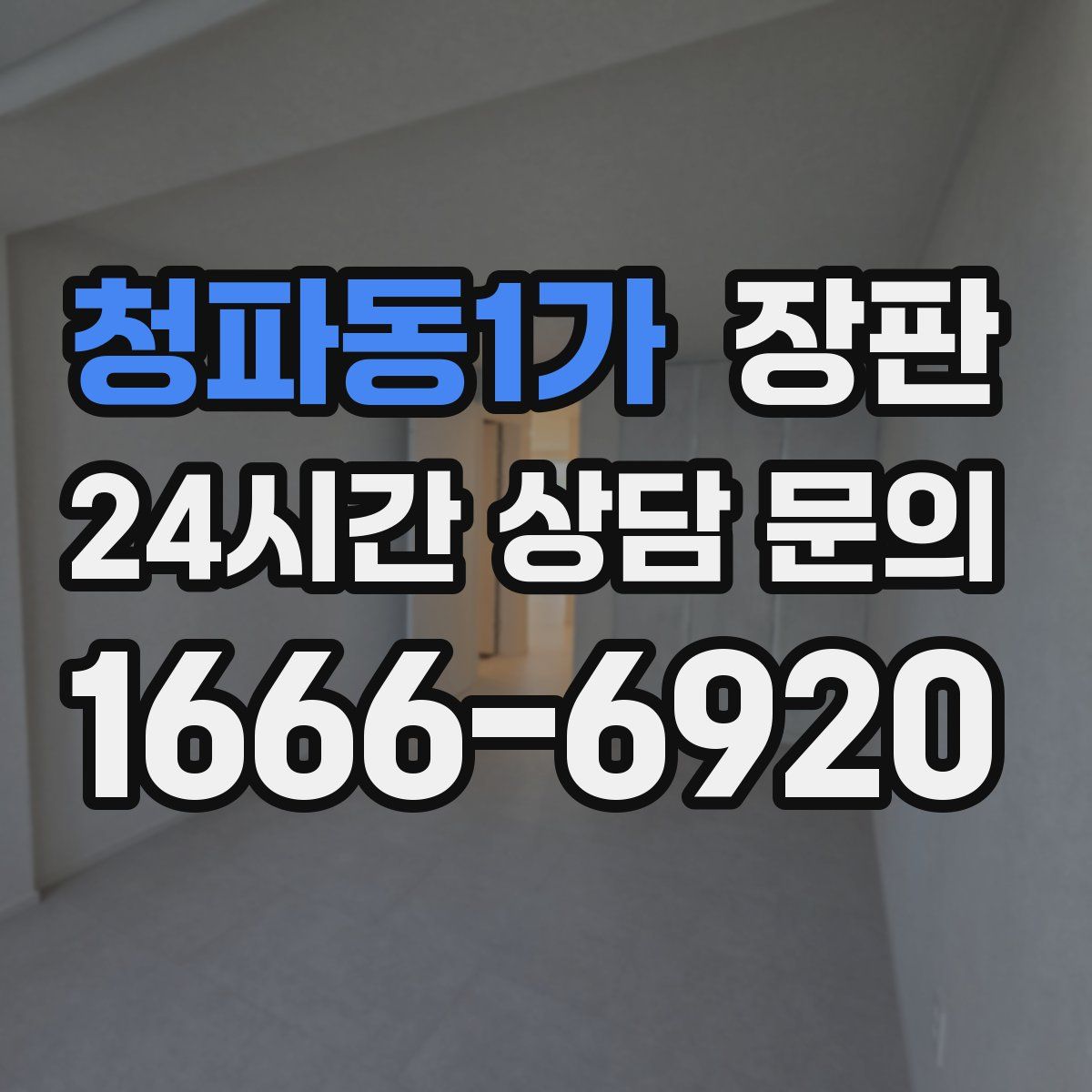 청파동1가 장판