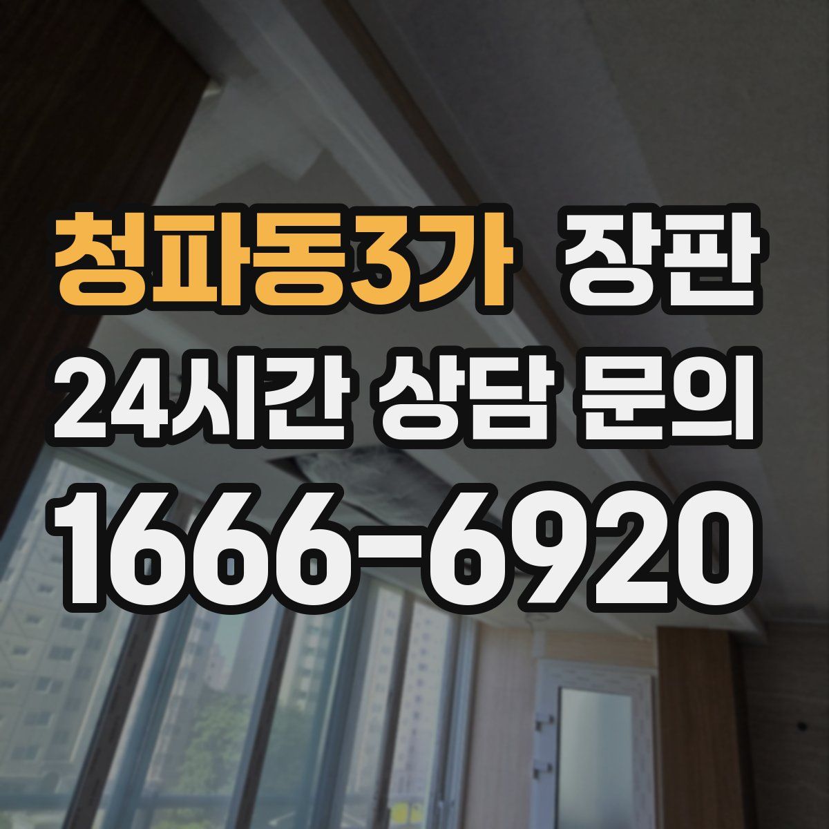 청파동3가 장판