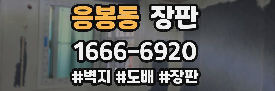 응봉동 장판