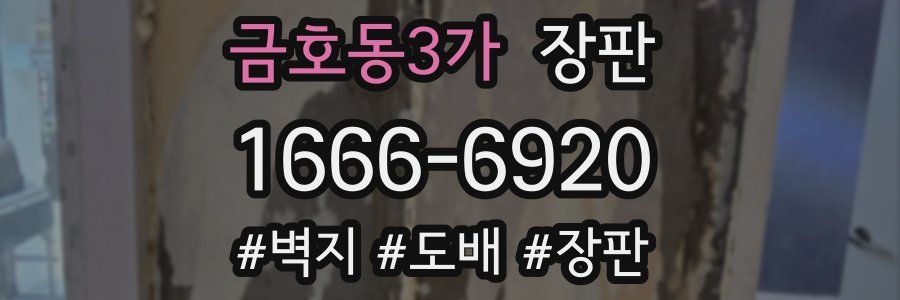 금호동3가 장판