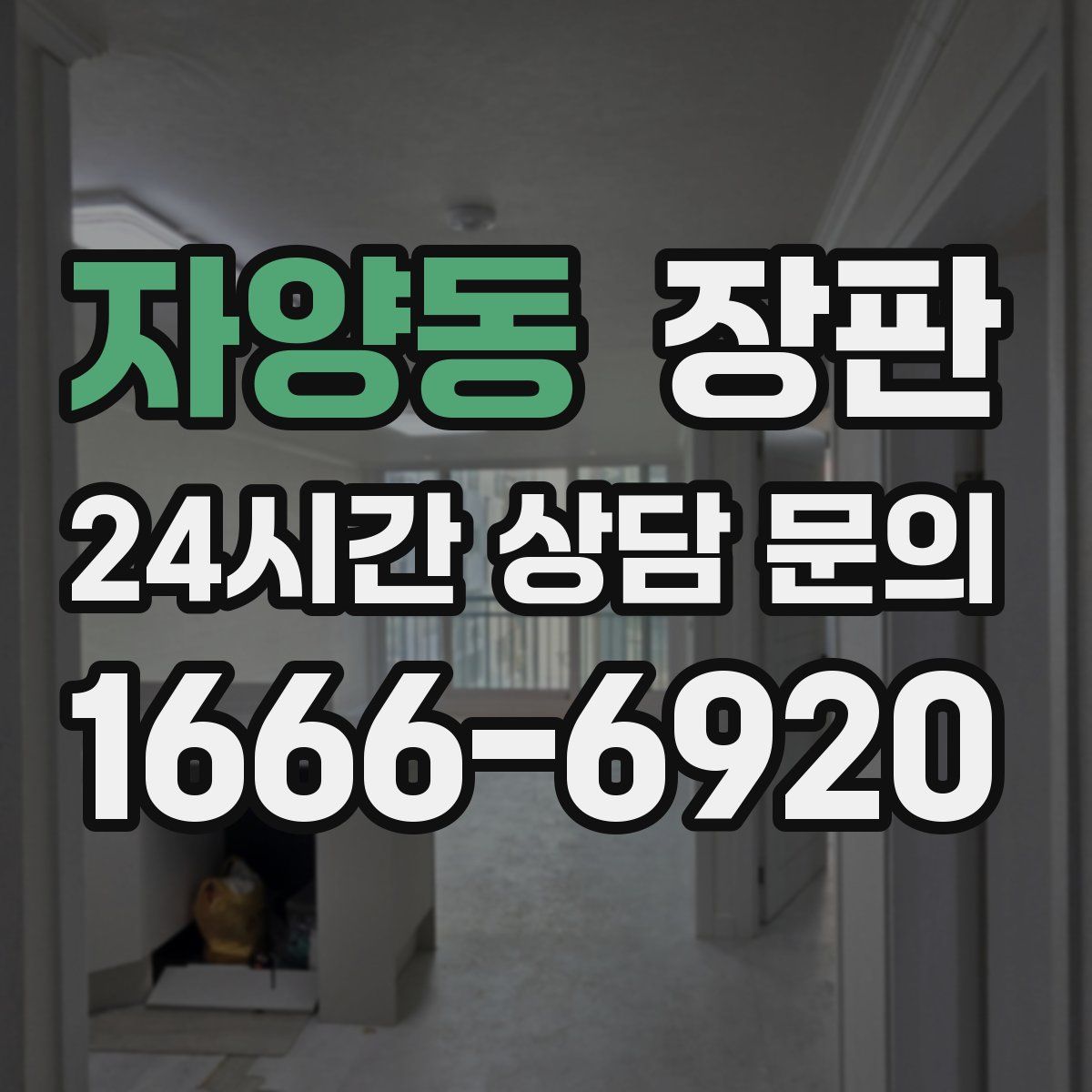자양동 장판