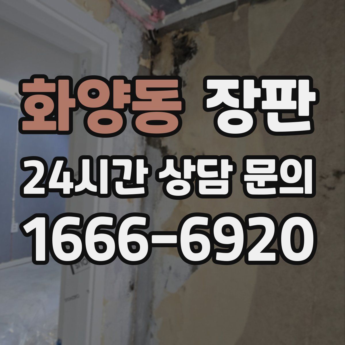 화양동 장판