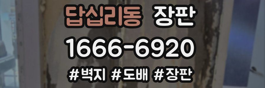 답십리동 장판