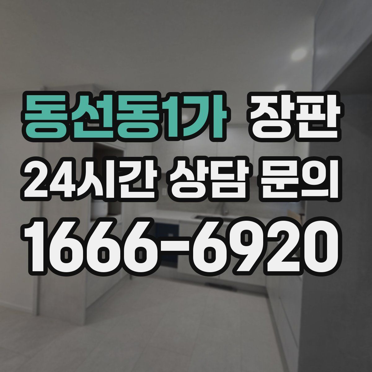 동선동1가 장판