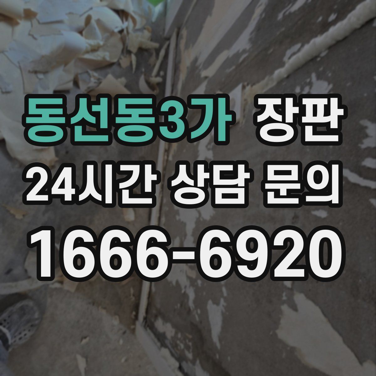 동선동3가 장판