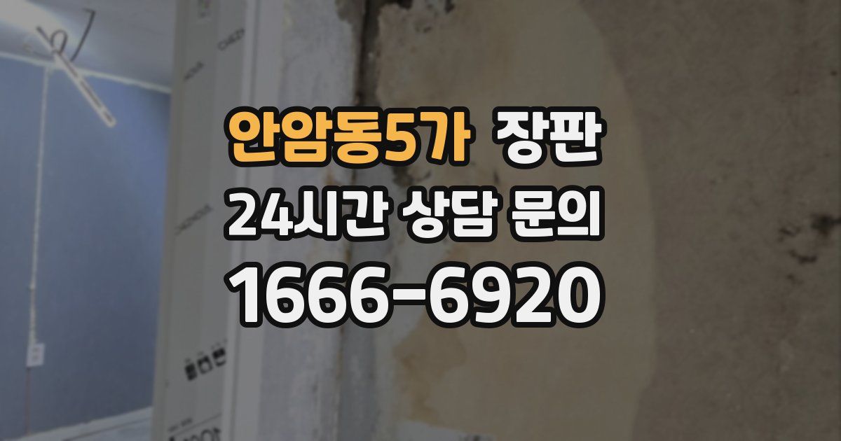 안암동5가 장판