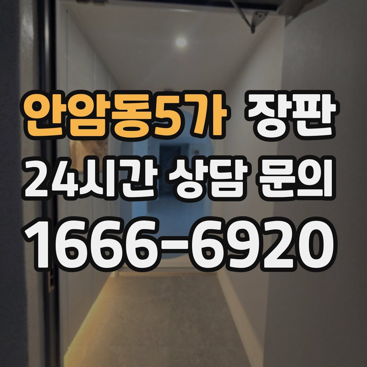안암동5가 장판