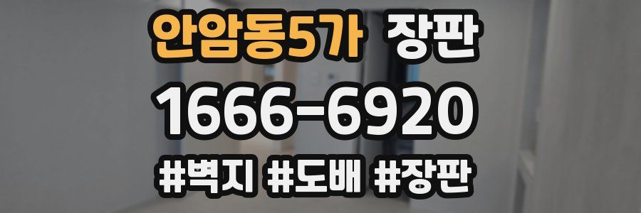 안암동5가 장판