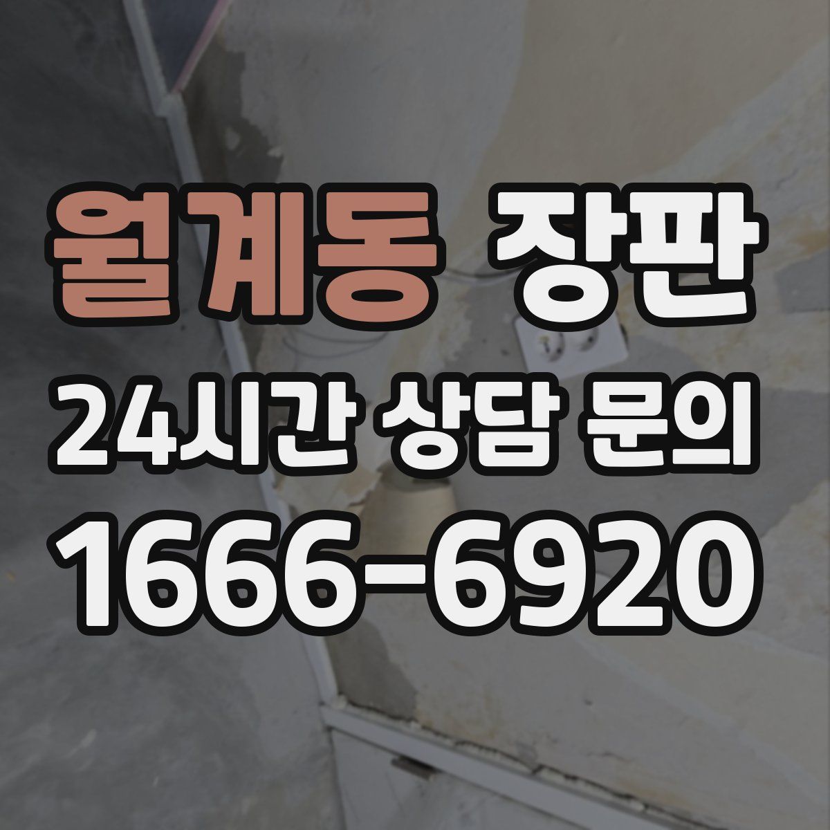 월계동 장판