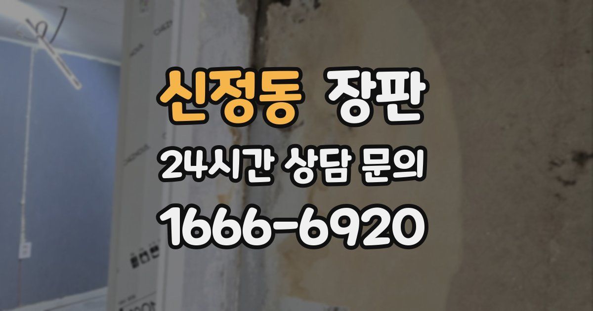 신정동 장판