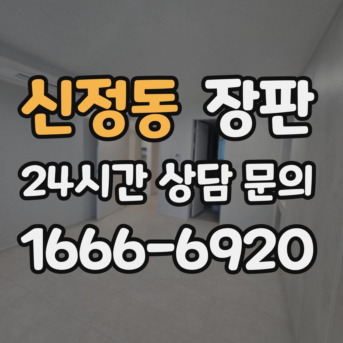 신정동 장판