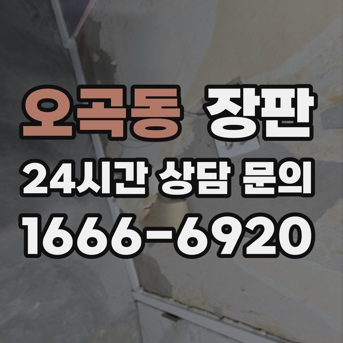 오곡동 장판