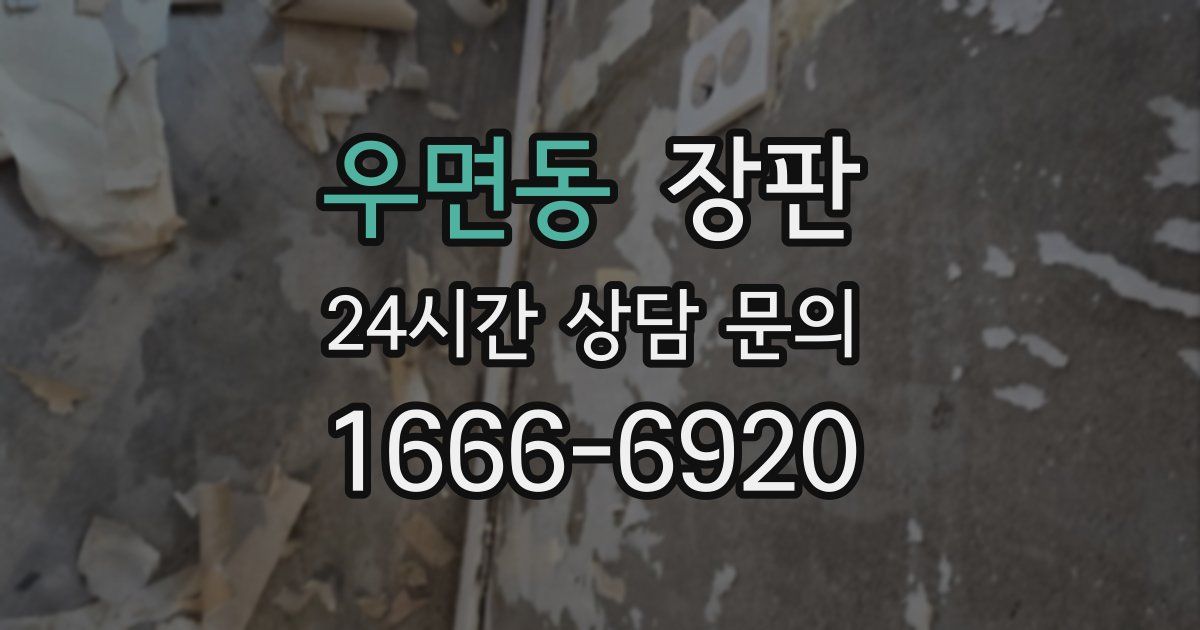 우면동 장판
