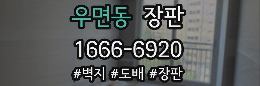 우면동 장판