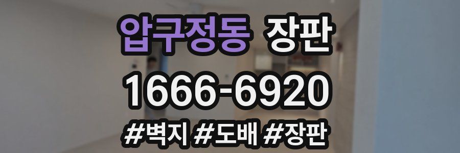 압구정동 장판