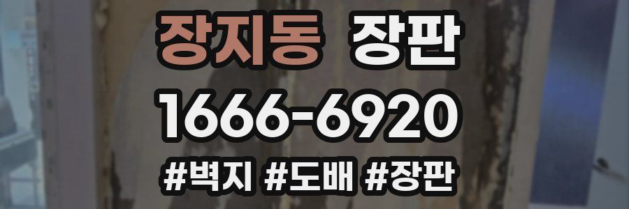 장지동 장판