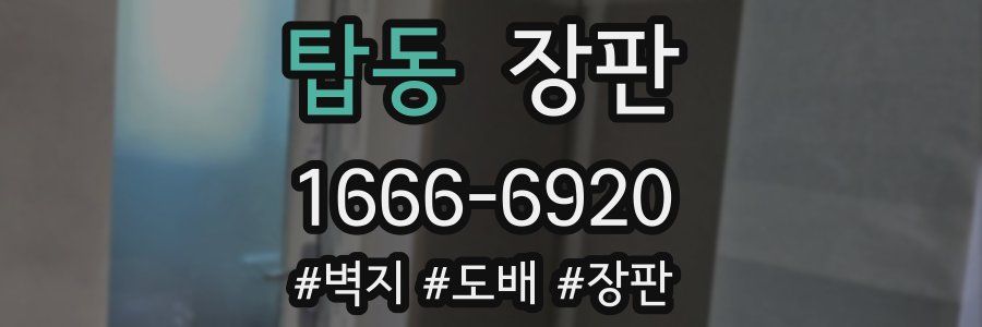 탑동 장판