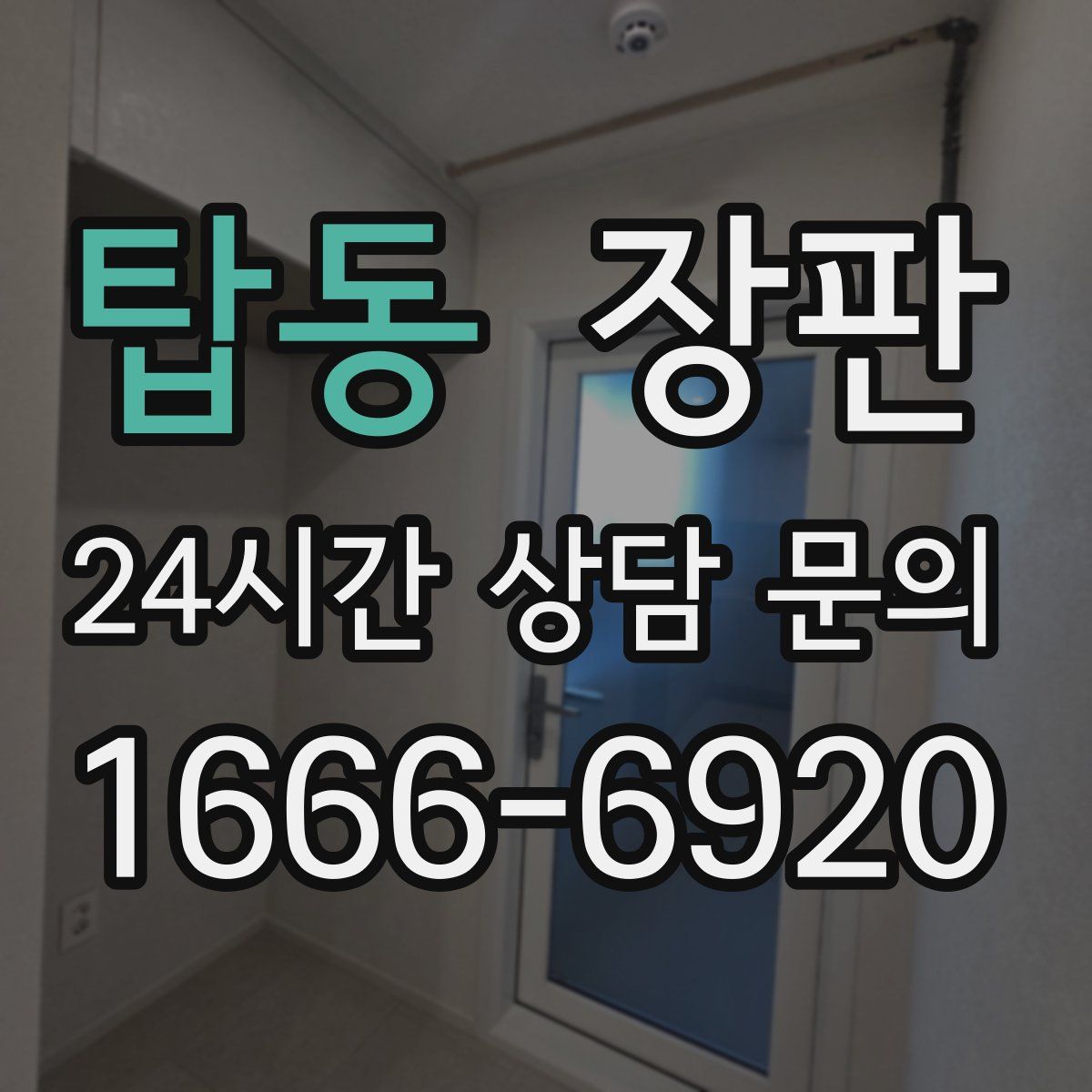 탑동 장판