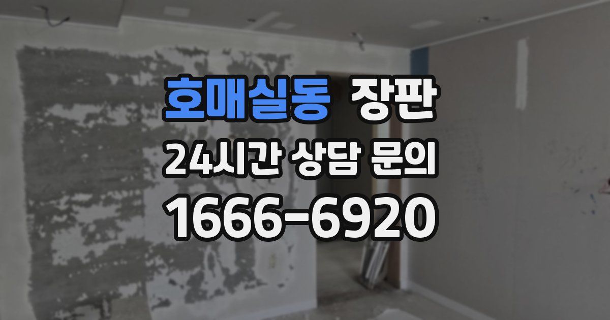 호매실동 장판