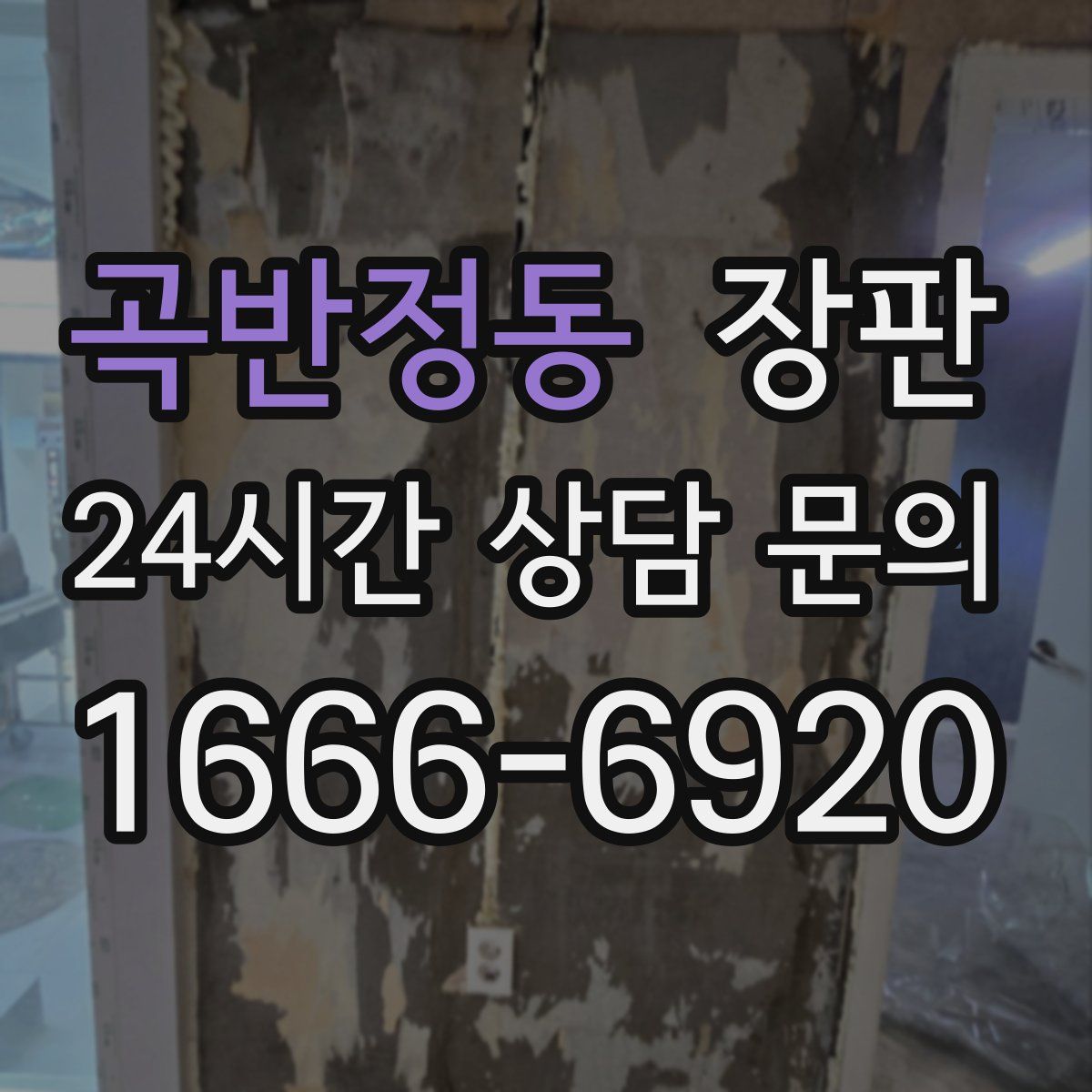 곡반정동 장판