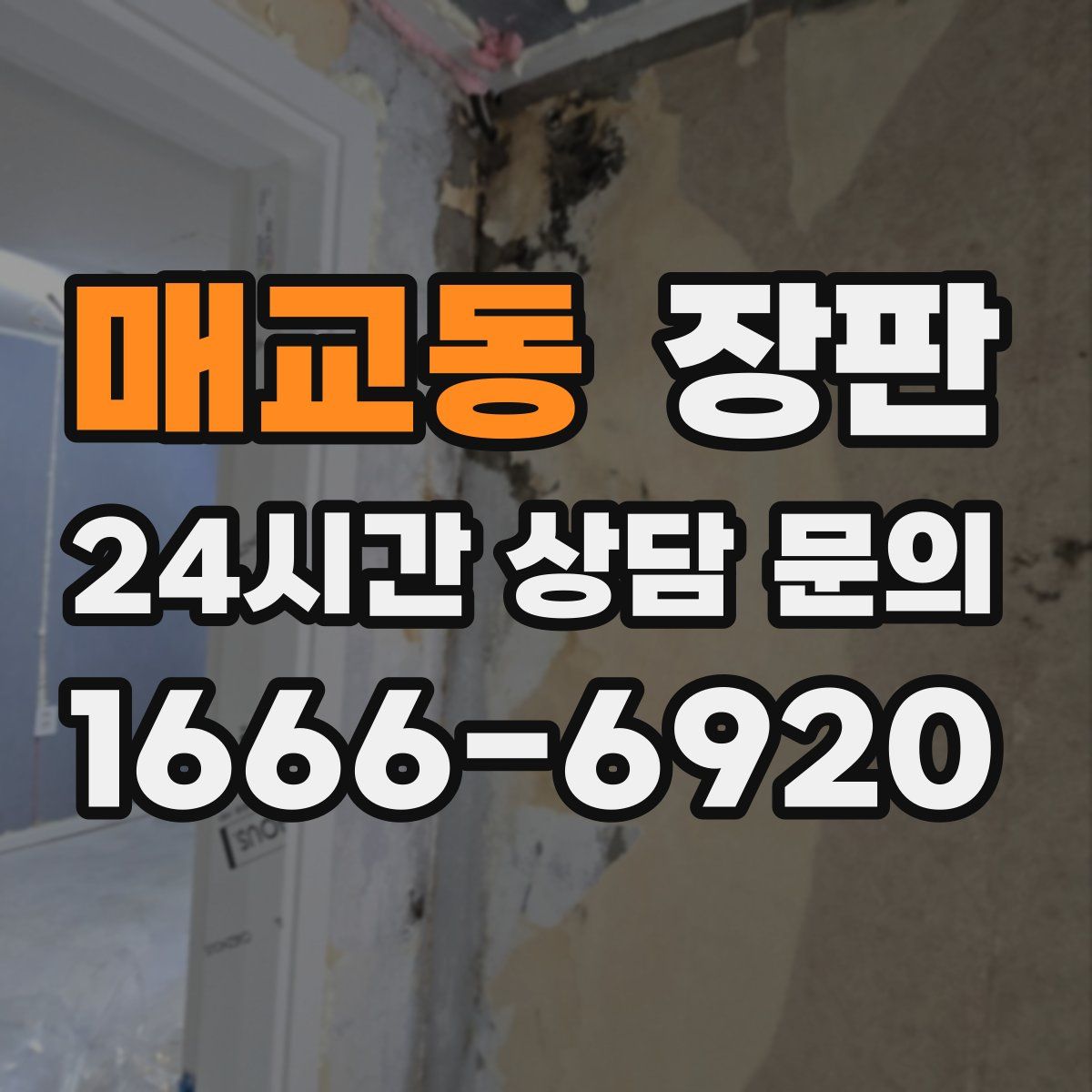 매교동 장판