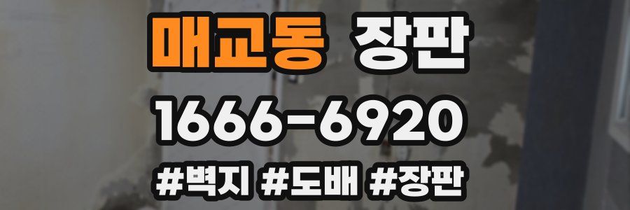 매교동 장판