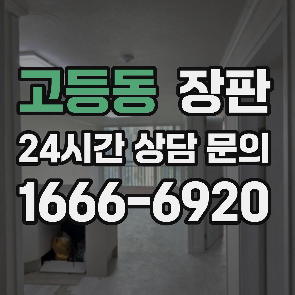 고등동 장판