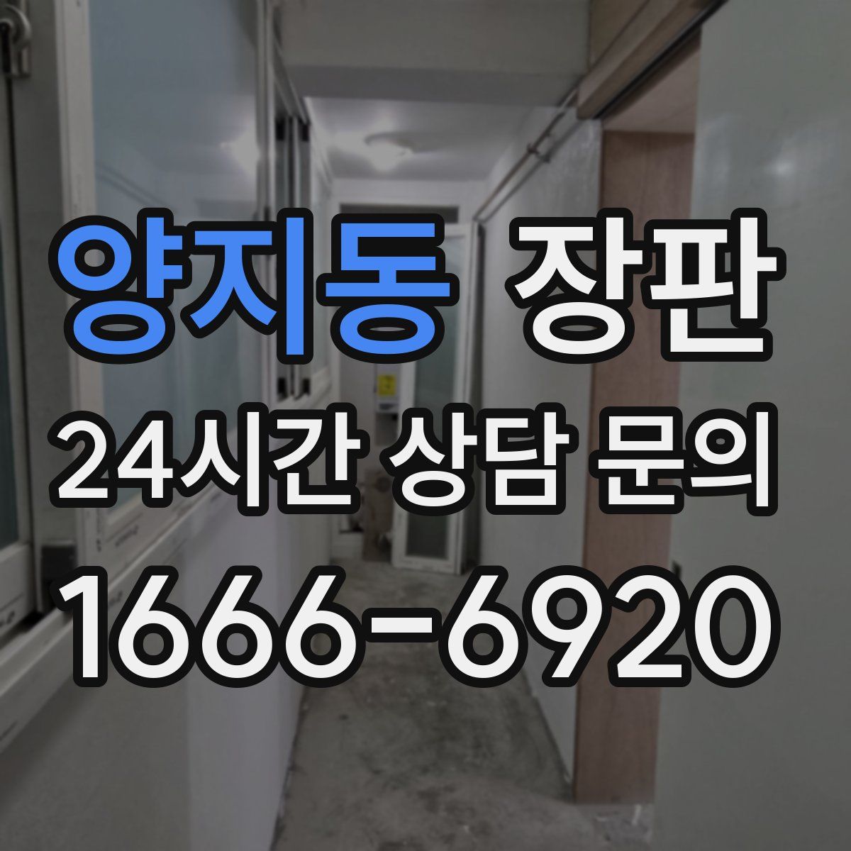 양지동 장판